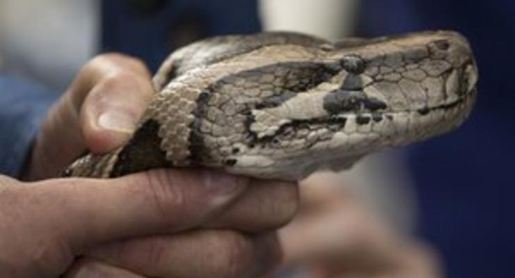 Житель США держал дома 850 змей