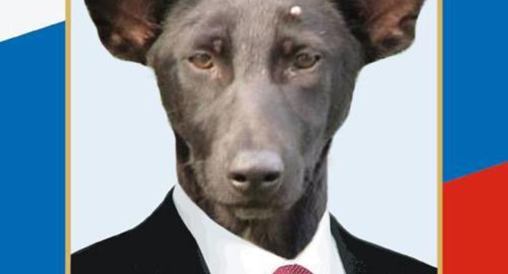 Лучшие демотиваторы про собаку, похожую на Путина (ФОТО)