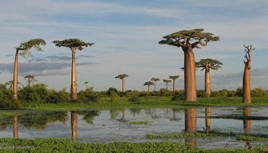 Затерянный мир: Остров, где эволюция шла своим путем (ФОТО)