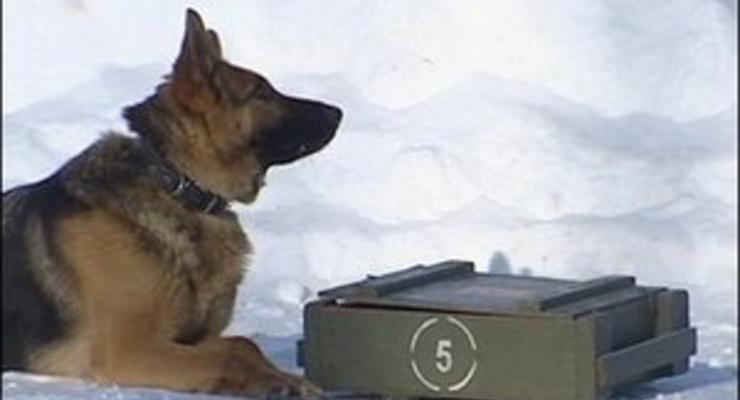 Российских призывников в армию могут сопровождать родители и собаки