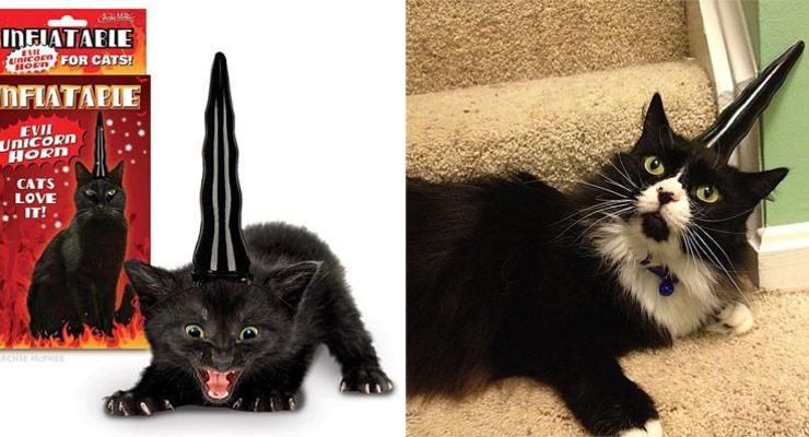 Рог, парик и тапок: Самые странные товары для котов (ФОТО)