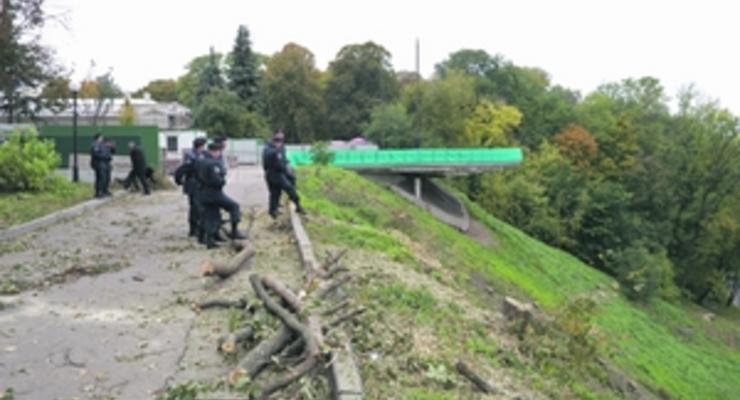 В Киеве на склонах Мариинского парка вырубили деревья