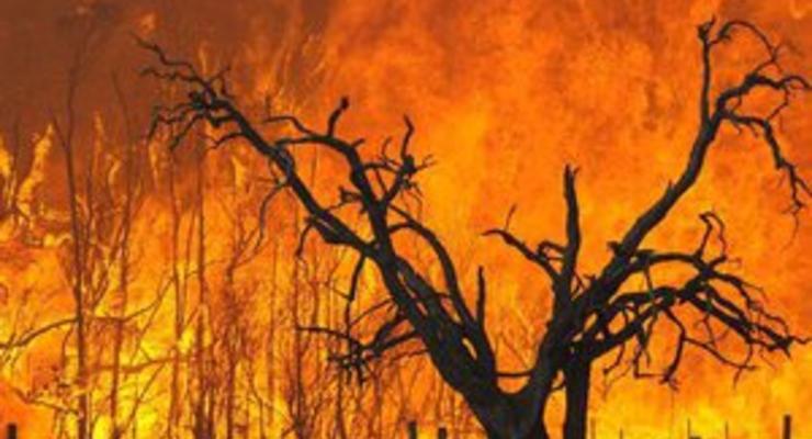 В Австралии бушуют лесные пожары: уничтожены не меньше 100 домов, есть погибшие