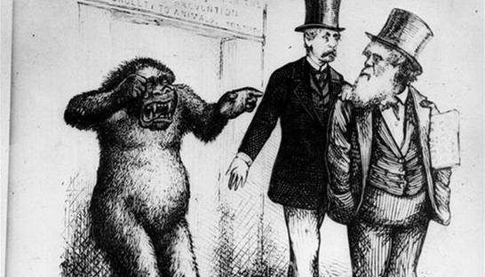 24 ноября: день в истории