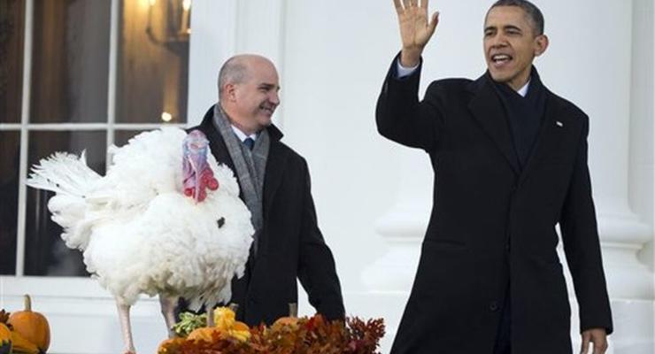 Накануне Дня Благодарения Обама помиловал индеек