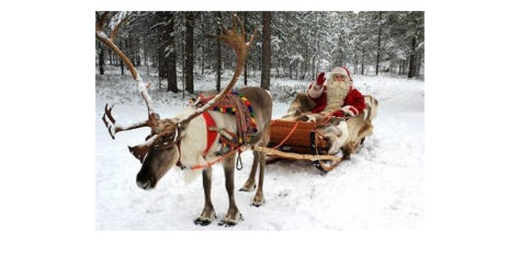 ООН назначила Санта-Клауса послом европейских лесов