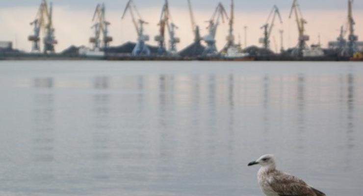 Азовское море оказалось на грани экологической катастрофы