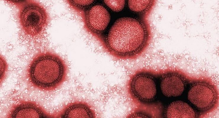 Вспышка свиного гриппа в американском Техасе унесла пять жизней