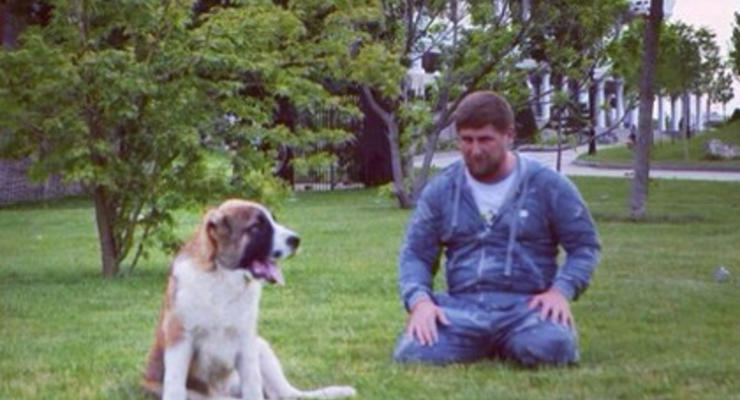 Пропавшая собака Кадырова нашлась в Ингушетии