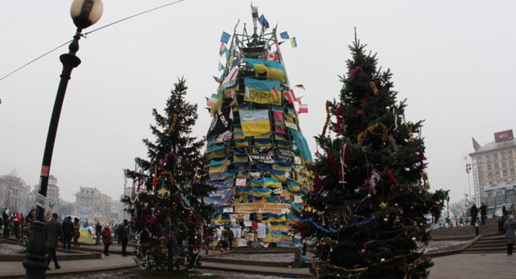 Новогодние елки Киева: ФОТОподборка