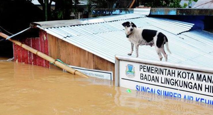 Из-за наводнения в Индонезии погибли 13 человек