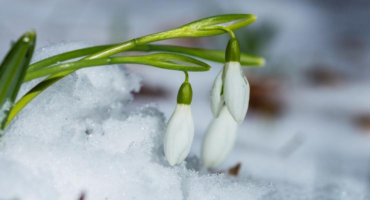 Погода в Украине: весна придет во второй половине марта