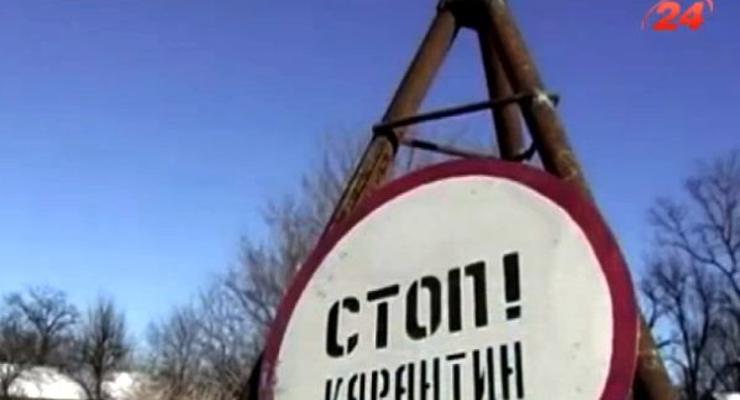 На Луганщине объявили чрезвычайную ситуацию из-за африканской чумы