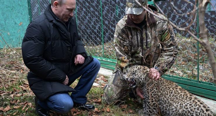 Путин вошел в клетку с леопардом