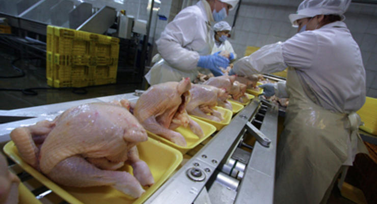 Россия отказалась от продукции Мироновской птицефабрики Украины