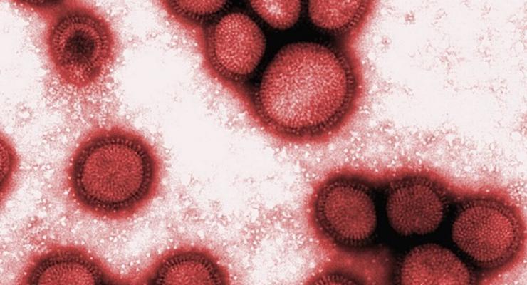 В Боснии три человека заразились свиным гриппом