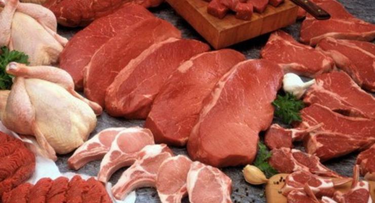 Украина прекратила поставки свиней и свинины в РФ из-за африканской чумы - Россельхознадзор