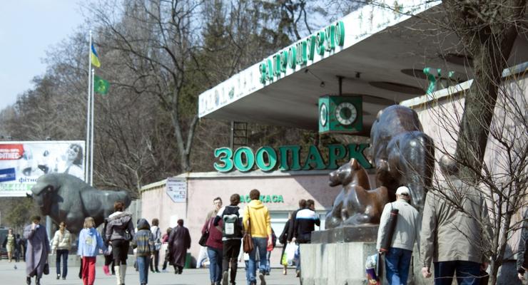 Чиновников Киевского зоопарка обвиняют в присвоении 200 тыс. грн.