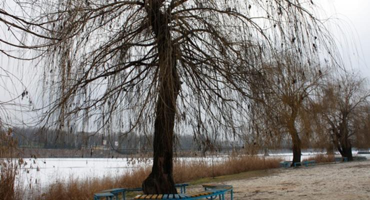 В конце апреля ожидаются заморозки - Укргидрометцентр