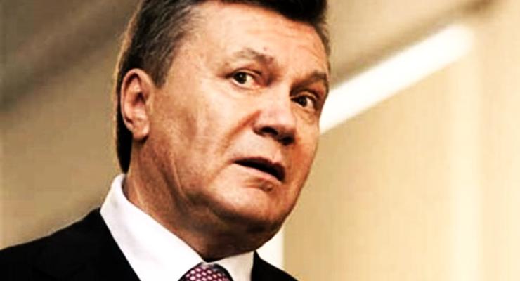 Главные ВИДЕО дня: Пародия на побег Януковича и “бандеровский” попугай