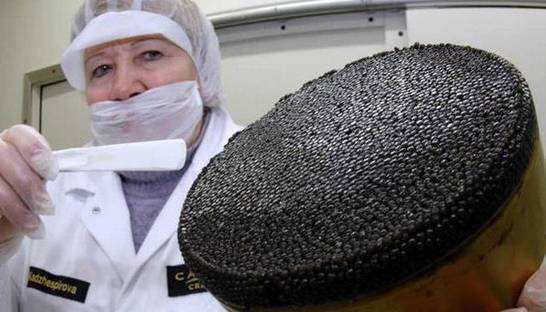 Reuters: Санкции ЕС затронут российскую икру, водку и алмазы