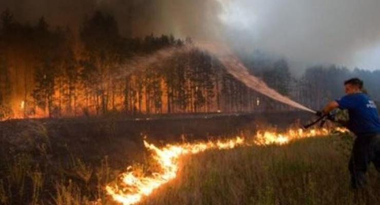 Пожары в Сибири: горит почти 2 тыс. гектаров леса