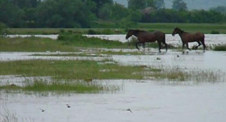 Гидрометцентр предупреждает о повышении уровня воды в реках Припять и Стоход