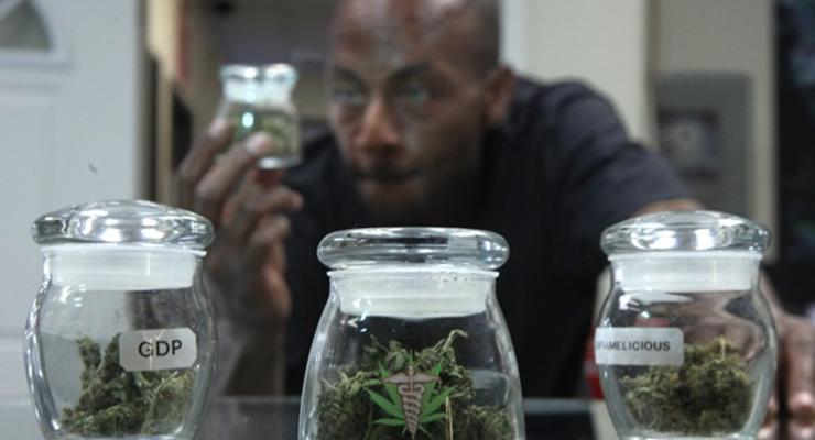 На Ямайке можно будет хранить марихуану в религиозных, научных и медицинских целях
