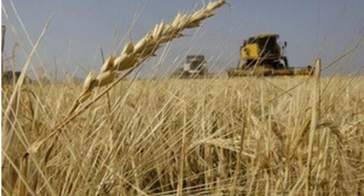 В 2014 году в Украине планируют собрать 55-56 млн тонн зерновых