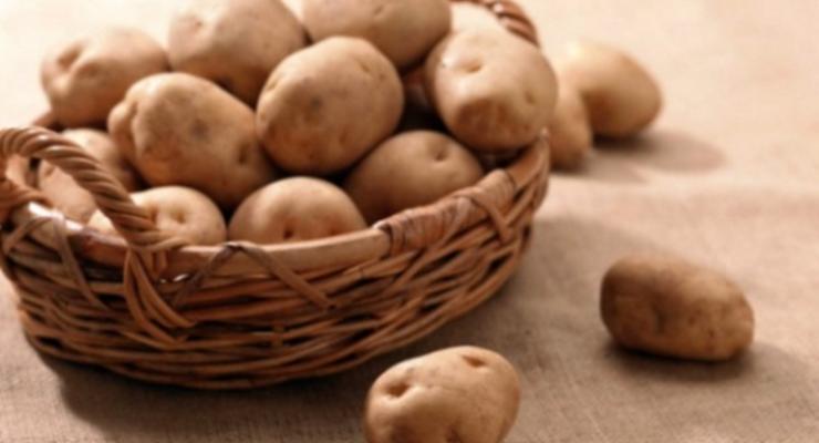 Беларусь ограничила ввоз картофеля из Украины