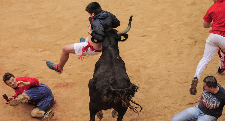 Разъяренные быки в Испании бодают любителей корриды