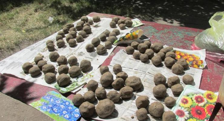 Украинцы засаживают пустующие участки улиц "бомбами" из семян