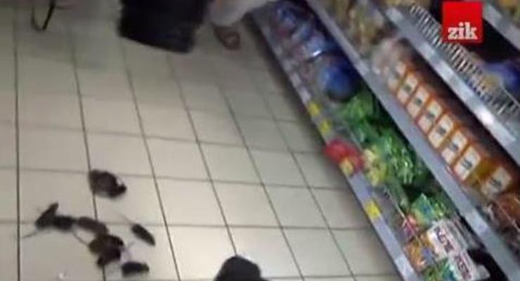 Во Львове в супермаркете выпустили мышей в протест против российских товаров