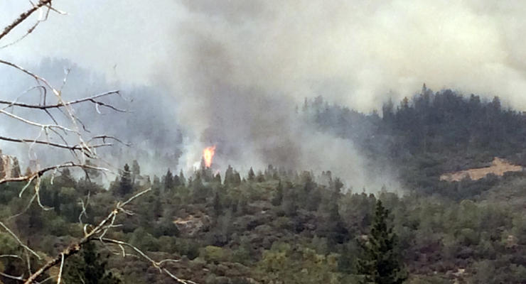 Лесные пожары в Калифорнии привели к объявлению чрезвычайной ситуации