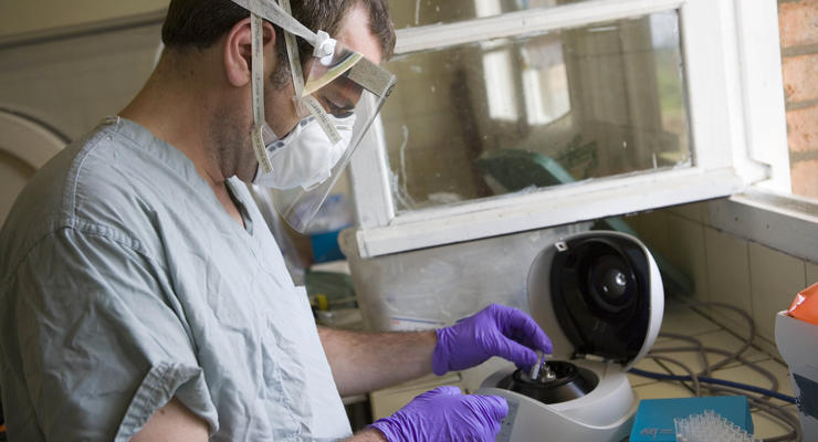 В связи с распространением вируса Эбола в Малайзии усиливают санитарный контроль