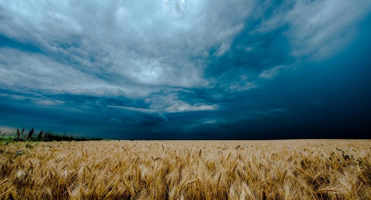 Прогноз погоды на неделю: в Украине будет прохладно