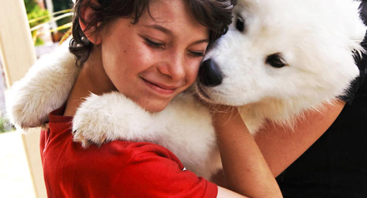 Собаки-обнимаки: лучшие фото объятий с любимцами