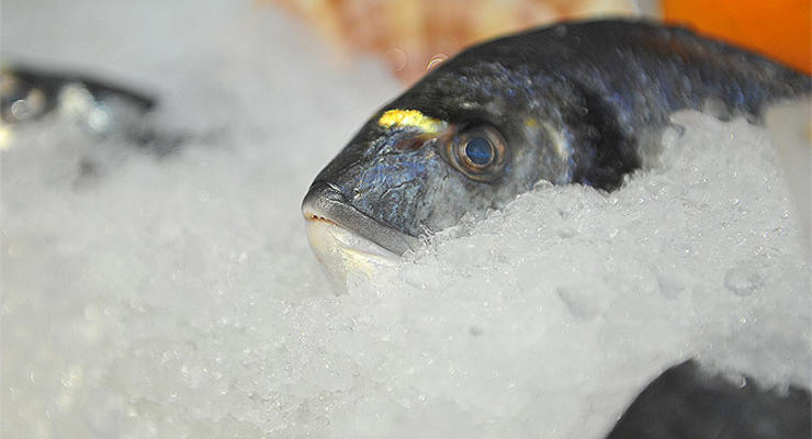 В Крым не пустили 34 тонны экзотической рыбы