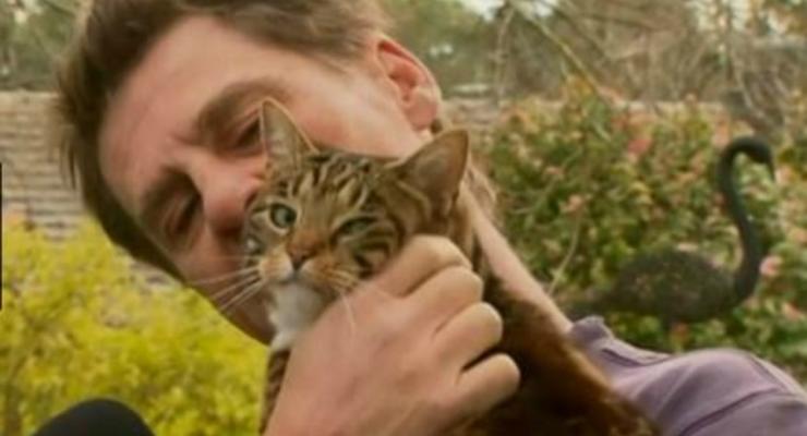 Австралия: кошка спасла хозяина при пожаре