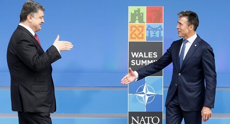 НАТО в помощь. Первые заявления и результаты "силового" саммита в Уэльсе
