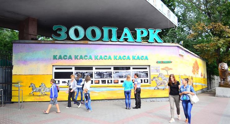 Киевский зоопарк перенесут за город – СМИ