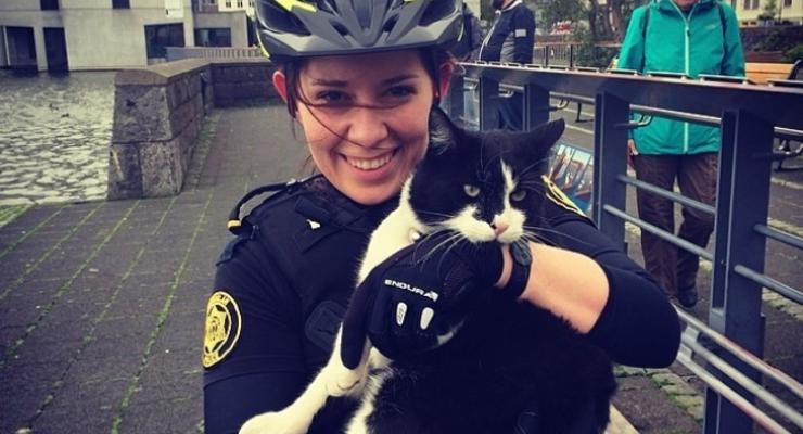 Котики и мороженое: официальный Instagram исландской полиции (фото)