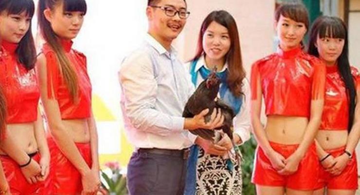 Конкурс красоты среди куриц прошел в Китае