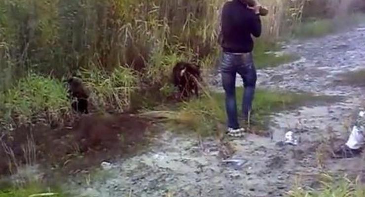 В России пьяный мужчина убил медвежонка