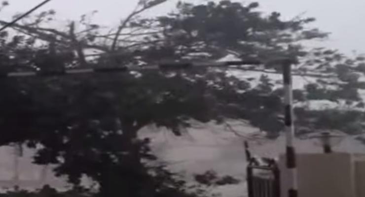 Тропический шторм Гонсало усилился
