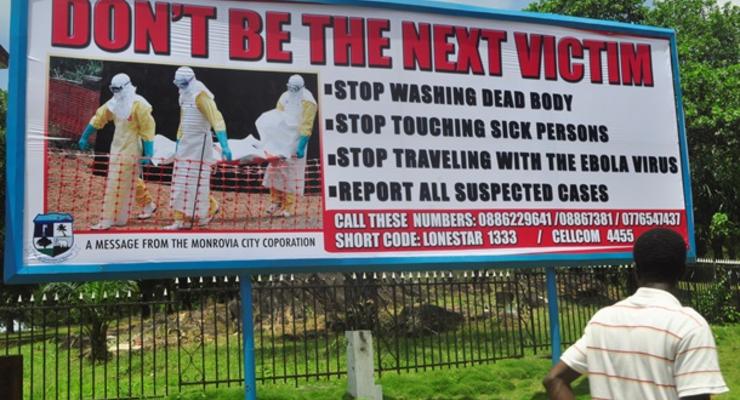 Причиной эпидемии Эбола в Африке стала фруктовая летучая мышь - СМИ