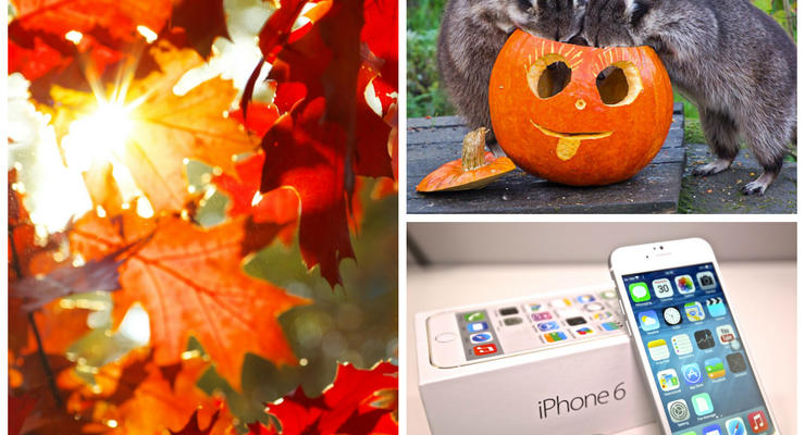 Позитив дня: мир отмечает Хэллоуин и старт продаж iPhone 6 в Украине