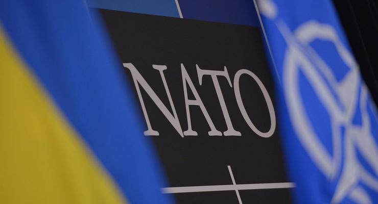 НАТО изучает сообщения о российских танках в Украине