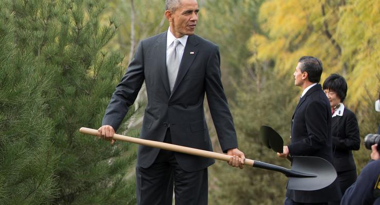 Обама с Путиным в Пекине посадили сосны