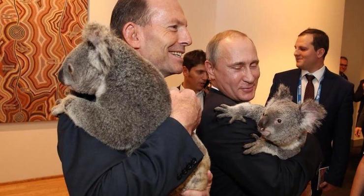 Путин и Эббот сфотографировались с коалами